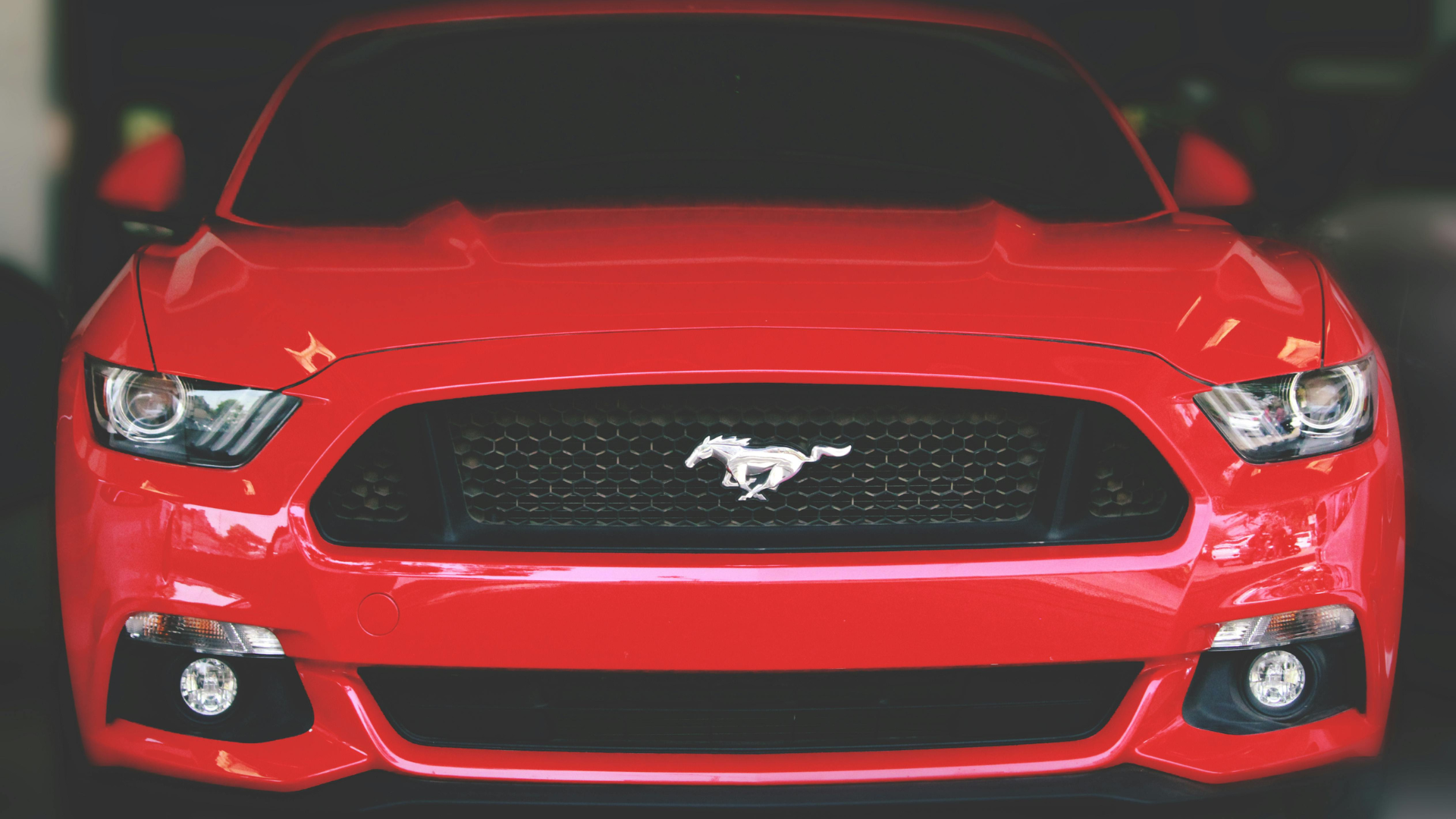 Red-Mustang-Thumb-Rss