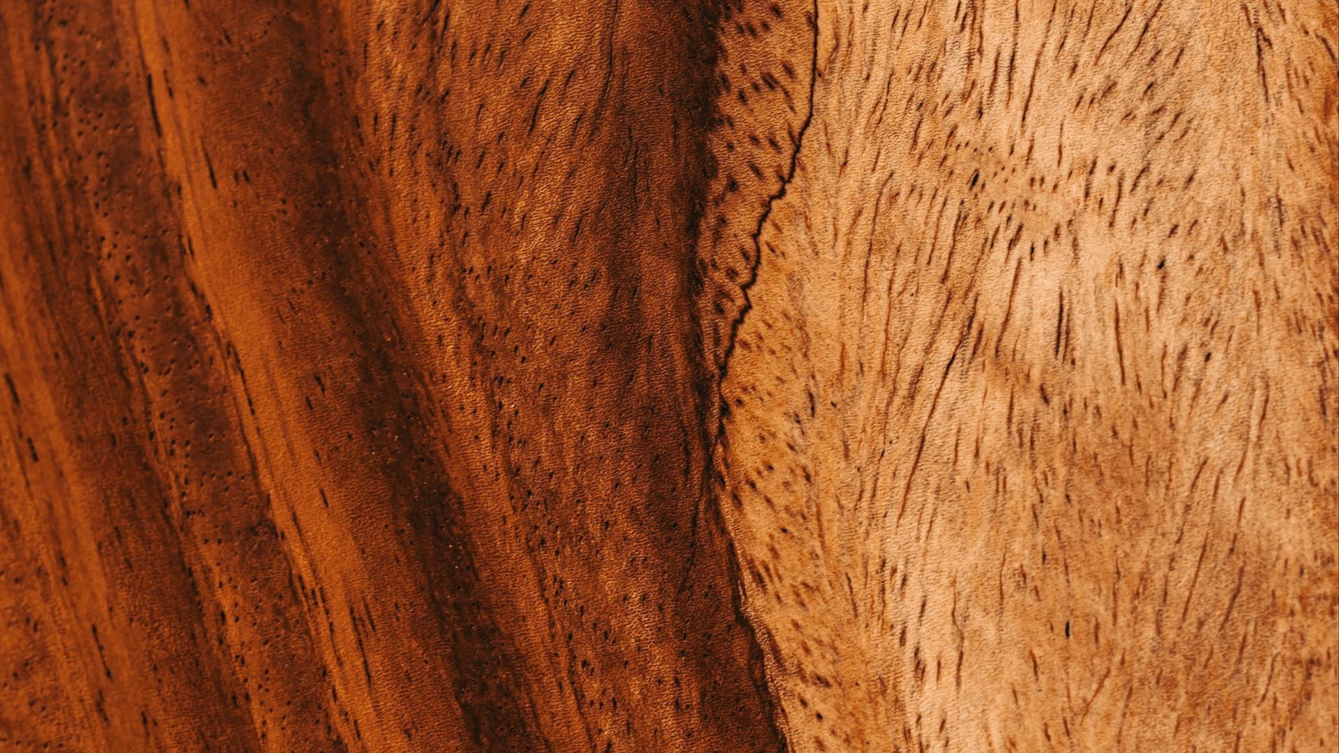 177801278510fbe64df1dd1c3643f8585ce5025f0409b006ac.jpg