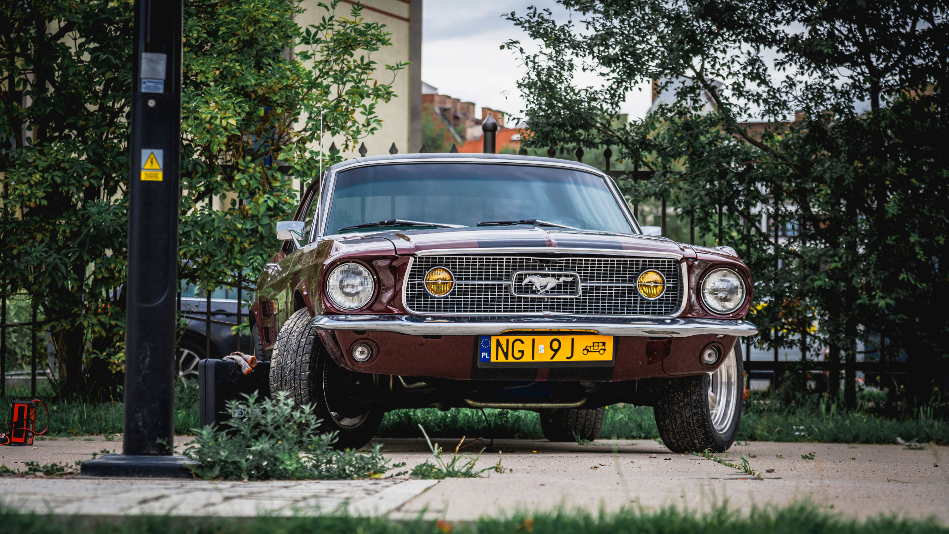 ford-mustang-classic-red-thumb-rss.png
