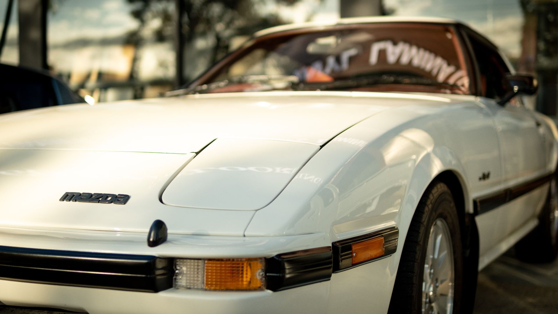 1782746539fc19d3dbbe358deef2bcc59c34306a6334e126ec.jpeg