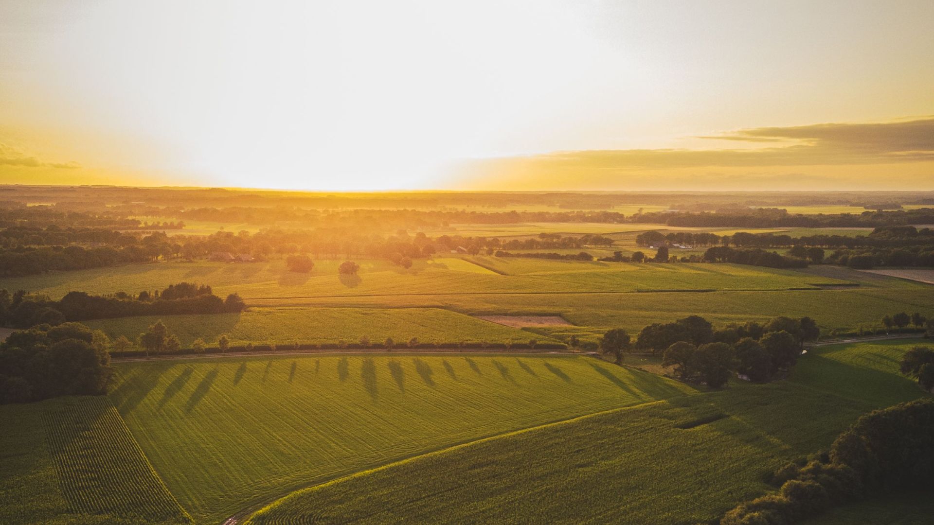 1784317065775ae355fda4831cef808ced217525fd93afd822.jpeg