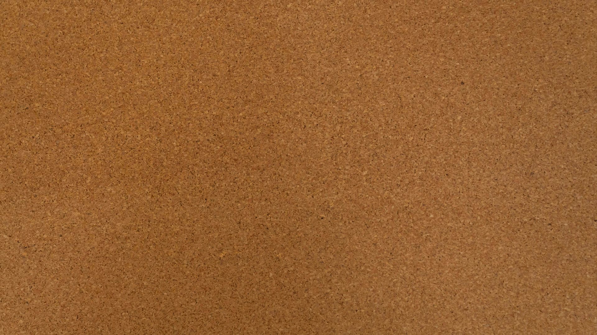 1786736992f112fe9f332c5d56a661208bd9a02eea1b841e8f.jpg