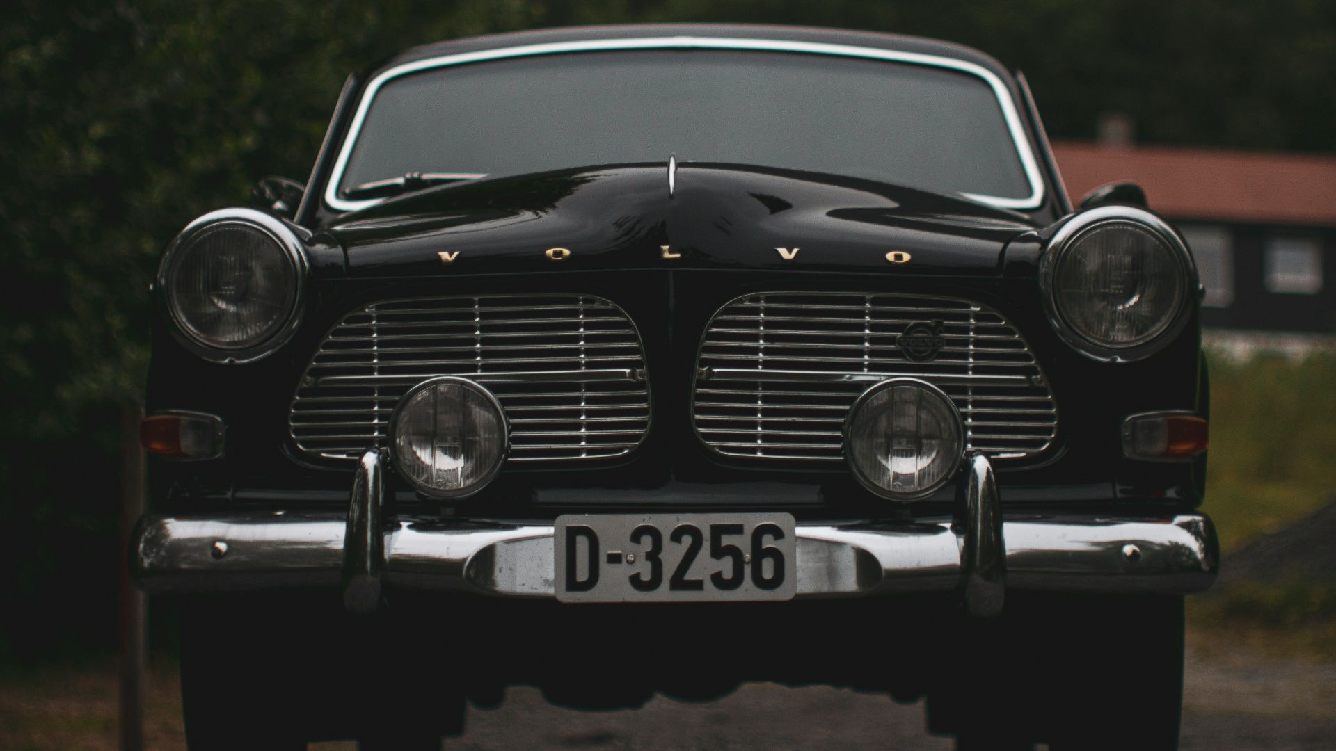17858487073051fc21adb680d80a9674b0a6a5580b1fdbac0e.jpg