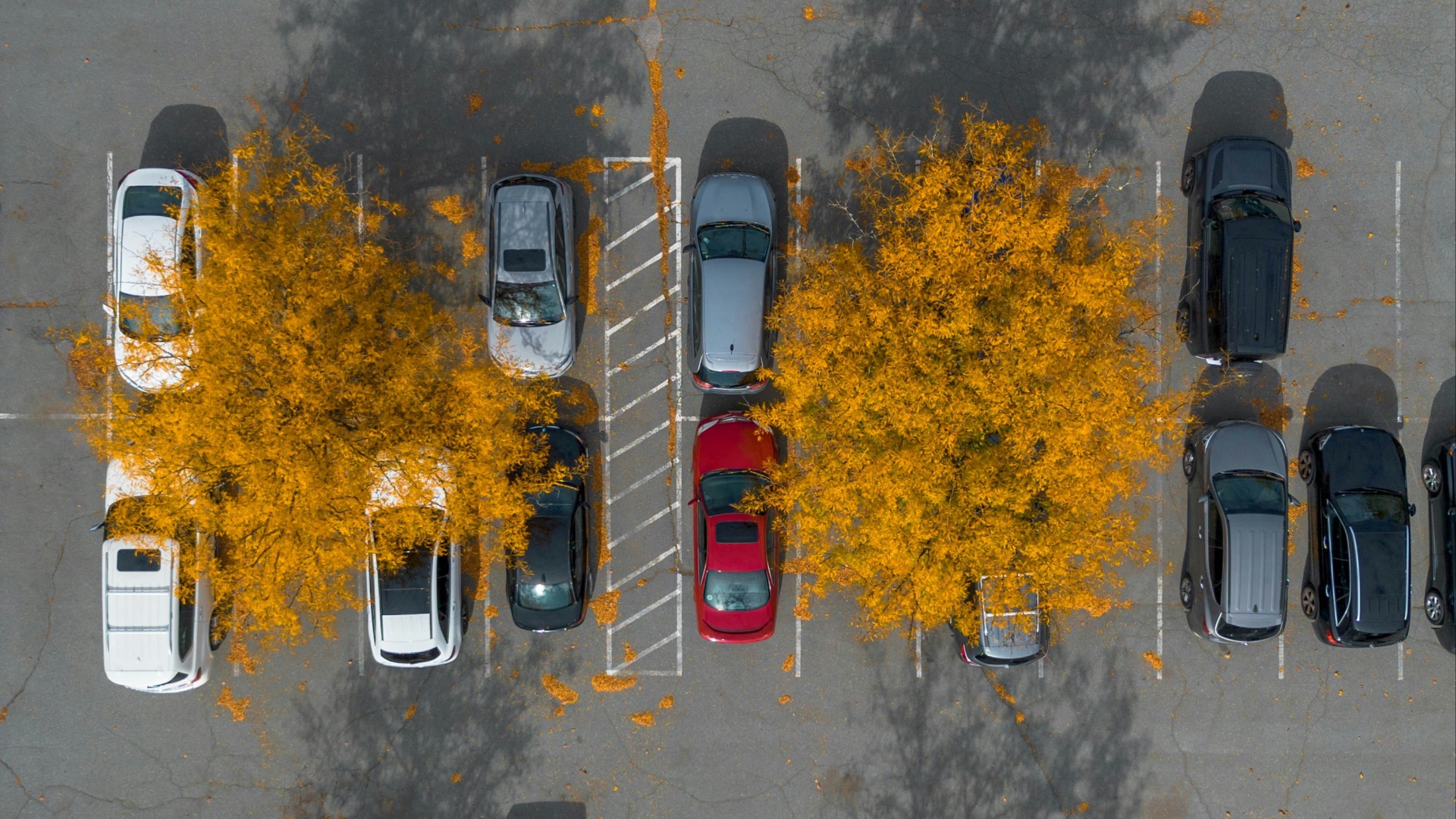 17900968346d6a129e5d063578e61417851c529cc30558ddc3.jpg